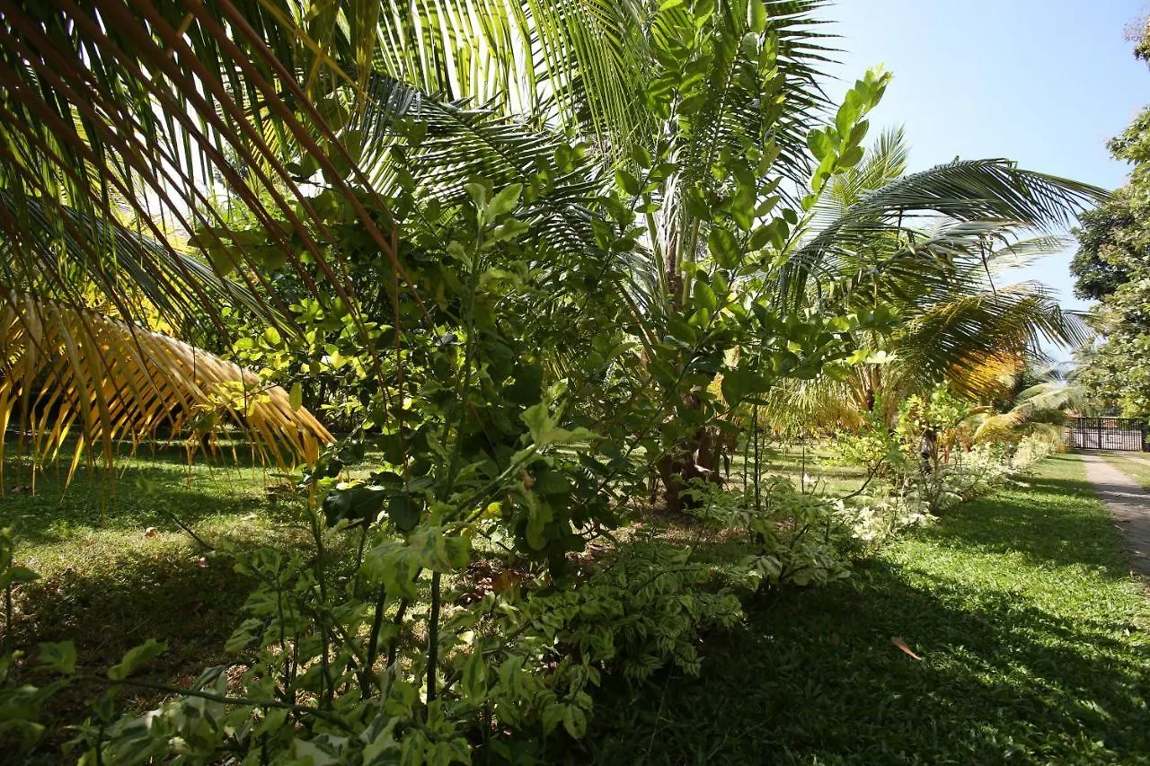 Negombovilla Villa Negombo